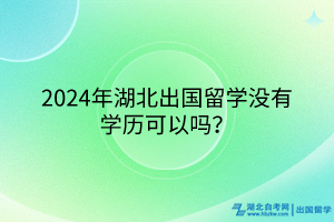 2024年湖北出国留学没有学历可以吗？