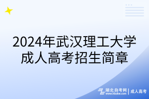 2024年武汉理工大学成人高考招生简章