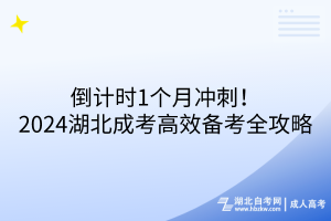 倒计时1个月冲刺！2024湖北成考高效备考全攻略