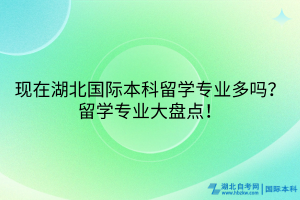 现在湖北国际本科留学专业多吗？留学专业大盘点！