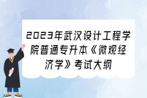 2023年武汉设计工程学院普通专升本《微观经济学》考试大纲