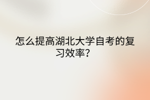 怎么提高湖北大学自考的复习效率？