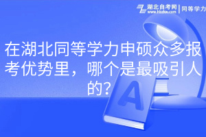 在湖北同等学力申硕众多报考优势里，哪个是最吸引人的？