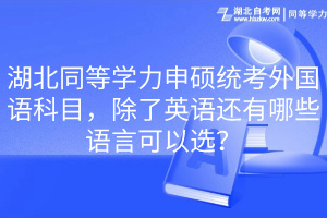 湖北同等学力申硕统考外国语科目，除了英语还有哪些语言可以选？