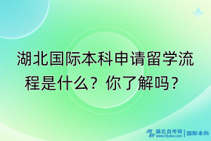 湖北国际本科申请留学流程是什么？你了解吗？