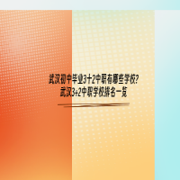 武汉初中毕业3十2中职有哪些学校?中职学校排名一览