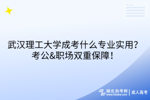 武汉理工大学成考什么专业实用？考公&职场双重保障！