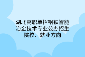 湖北高职单招钢铁智能冶金技术专业公办招生院校、就业方向