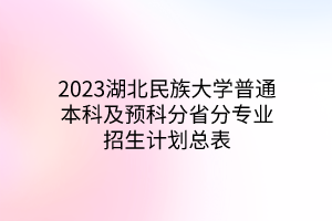 2023湖北民族大学普通本科及预科分省分专业招生计划总表