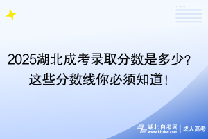 2025湖北成考录取分数是多少？这些分数线你必须知道！