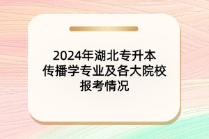 2024年湖北专升本传播学专业及各大院校报考情况