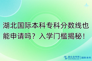 湖北国际本科专科分数线也能申请吗？入学门槛揭秘！