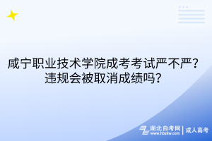 咸宁职业技术学院成考考试严不严？违规会被取消成绩吗？