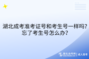 湖北成考准考证号和考生号一样吗？忘了考生号怎么办？