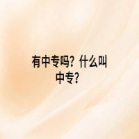 有中专吗？什么叫中专？