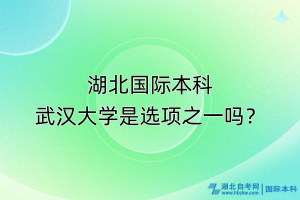 湖北国际本科，武汉大学是选项之一吗？