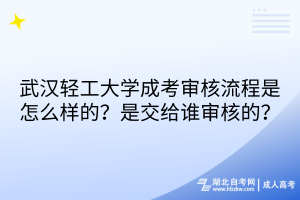 武汉轻工大学成考审核流程是怎么样的？是交给谁审核的？