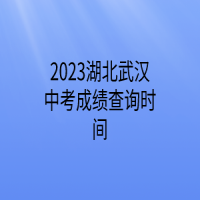 2023湖北武汉中考成绩查询时间