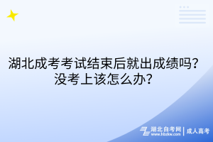 湖北成考考试结束后就出成绩吗？没考上该怎么办？