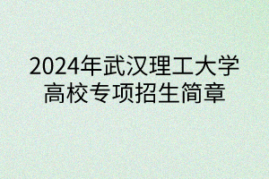 2024年武汉理工大学高校专项计划招生简章