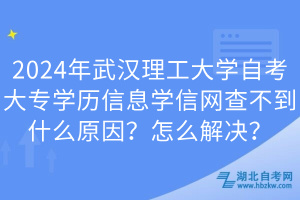 2024年武汉理工大学自考大专学历信息学信网查不到什么原因？怎么解决？