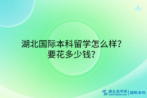 湖北国际本科留学怎么样？要花多少钱？