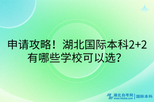 申请攻略！湖北国际本科2+2有哪些学校可以选？