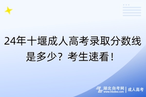 24年十堰成人高考录取分数线是多少？考生速看！