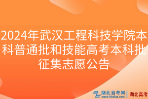 2024年武汉工程科技学院本科普通批和技能高考本科批征集志愿公告