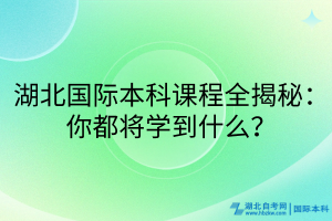 湖北国际本科课程全揭秘：你都将学到什么？