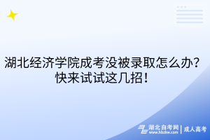 湖北经济学院成考没被录取怎么办？快来试试这几招！