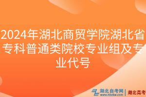 2024年湖北商贸学院湖北省专科普通类院校专业组及专业代号