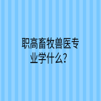 职高畜牧兽医专业学什么？