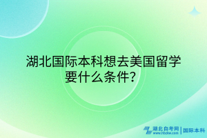 湖北国际本科想去美国留学要什么条件？