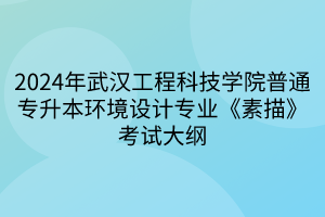 2024年武汉工程科技学院普通专升本环境设计专业《素描》考试大纲