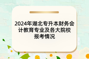 2024年湖北专升本财务会计教育专业及各大院校报考情况