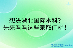 想进湖北国际本科？先来看看这些录取门槛！