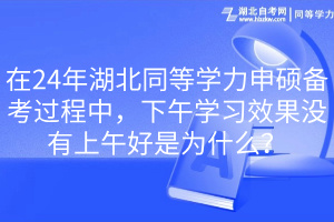 在24年湖北同等学力申硕备考过程中，下午学习效果没有上午好是为什么？