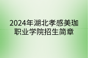 2024年湖北孝感美珈职业学院招生简章