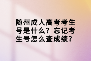 随州成人高考考生号是什么？忘记考生号怎么查成绩？