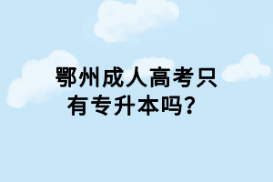 鄂州成人高考只有专升本吗？