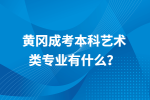 黄冈成考本科艺术类专业有什么？