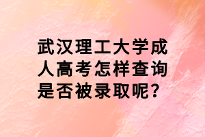 武汉理工大学成人高考怎样查询是否被录取呢？