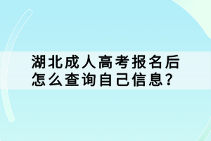 湖北成人高考报名后怎么查询自己信息？