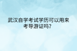 武汉自学考试学历可以用来考导游证吗？