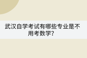 武汉自学考试有哪些专业是不用考数学？