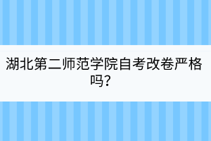 湖北第二师范学院自考改卷严格吗？