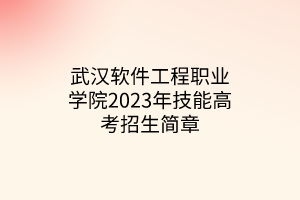 武汉软件工程职业学院2023年技能高考招生简章