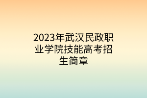 2023年武汉民政职业学院技能高考招生简章