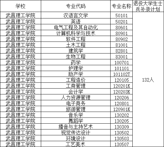 武昌理工学院